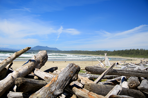 Pacific Rim National Park Reserve  / Schooner Trail IMG_3186