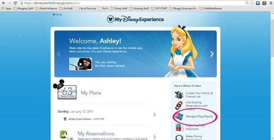 4. Personalizar MagicBand Magic-Bands-My-Disney-Experience-Screen