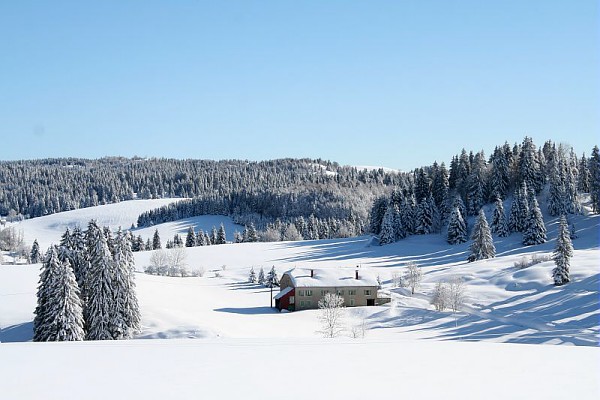 Les montagnes Neige-jura