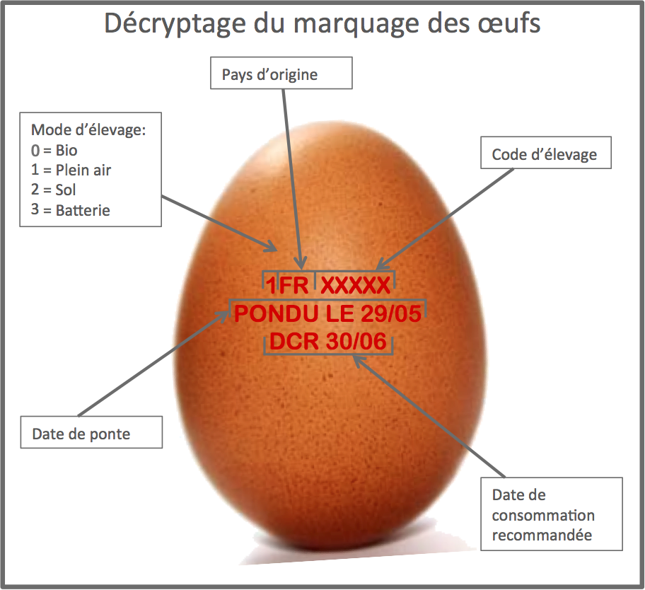 Apprenez à reconnaître le type d’élevage des oeufs que vous mangez Decryptage-marquage-oeufs1