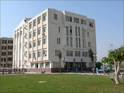 جامعة الفيوم 50