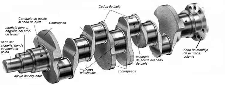 El Stroker ¿que es y para que sirve? Ciguenal