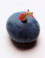 فوائد التوت البري BenefitsOfBlueberry