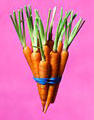 ڑ     ڑ )* CarrotBenefits