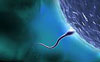 اطفال الانابيب .... IVF-Sperm