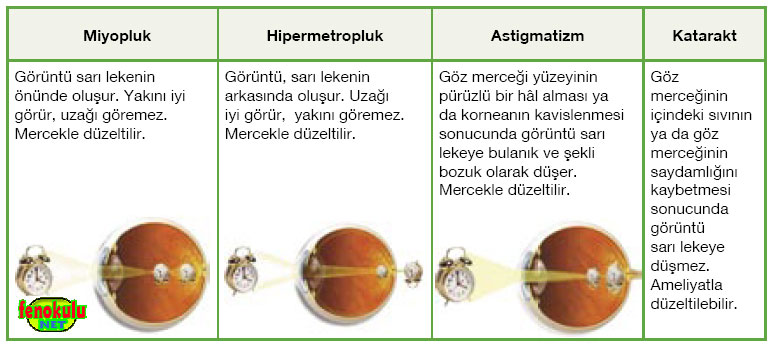 7. snflara FEN VE TEKNOLOJ KONULARI Gozkusurlari