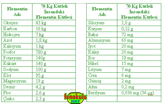 Canl Vcudunu Oluturan Element eitleri ve Bunlarn Oranlar Insanmadde