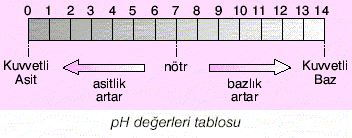 Asit & Baz ve Tuzlar [RESIMLI VE YAZILI KONU ANLATIMLAR COZUMLU TESTLER NORMAL TESTLER] Untitlfdfed15