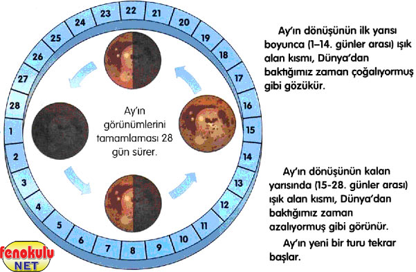 GÜNEŞ ,DÜNYA VE AY Uzay9