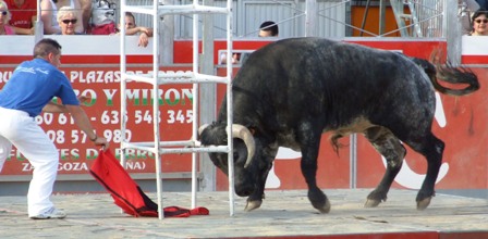 De quien es este toro? Concurso_ganaderias_pinseque_41