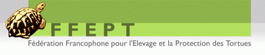 Le site de la FFEPT FFEPT_petite