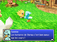 Final Fantasy Fables: Chocobo Tales Ct03