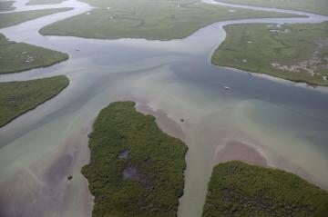 [Lieu] L'Archipel Mangrove Vue_aerienne_mangrove_archipel_des_bijagos_large