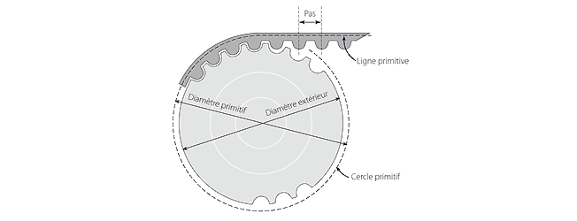 Comment reconnaître le pas d'une courroie crantée ? Schema_courroie_synchrone_et_poulie