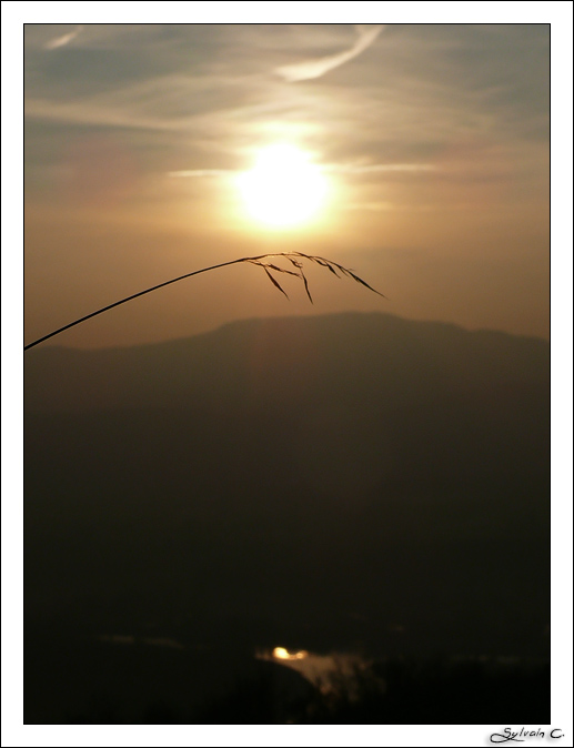 Coucher de Soleil dans le Bugey... P1080007