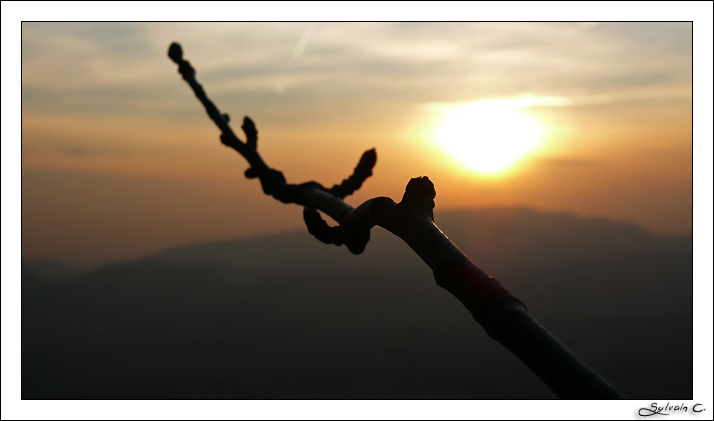 Coucher de Soleil dans le Bugey... P1080020