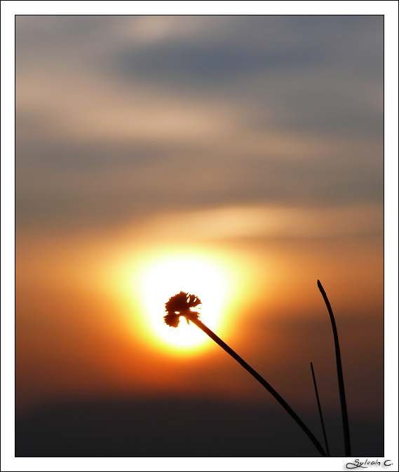 Coucher de Soleil dans le Bugey... P1080028