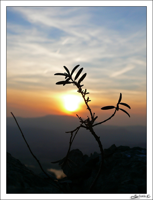 Coucher de Soleil dans le Bugey... P1080033