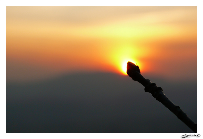 Coucher de Soleil dans le Bugey... P1080047