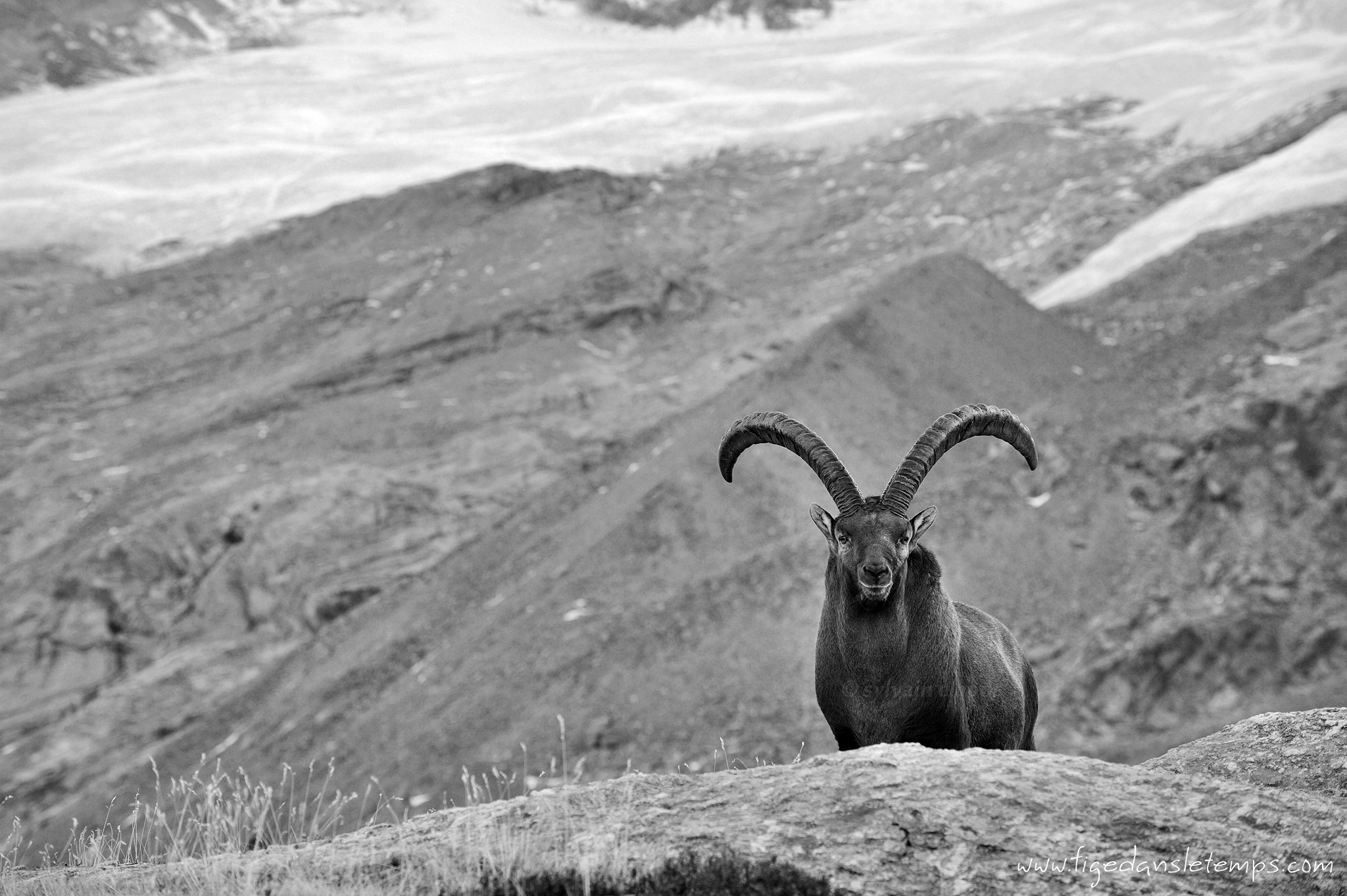 Refuge des Evettes (Vanoise) [3/3] DSC_2384