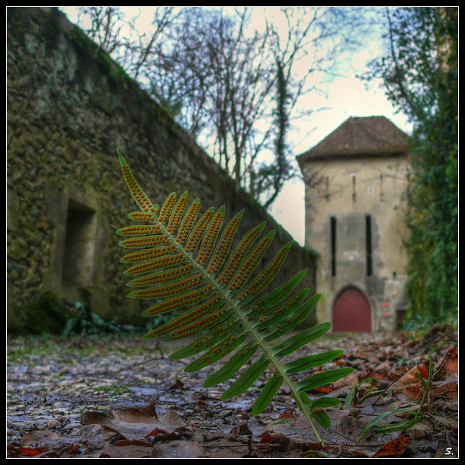 Pierre Châtel / Fort les Bancs (Bugey) P1060171_2_3