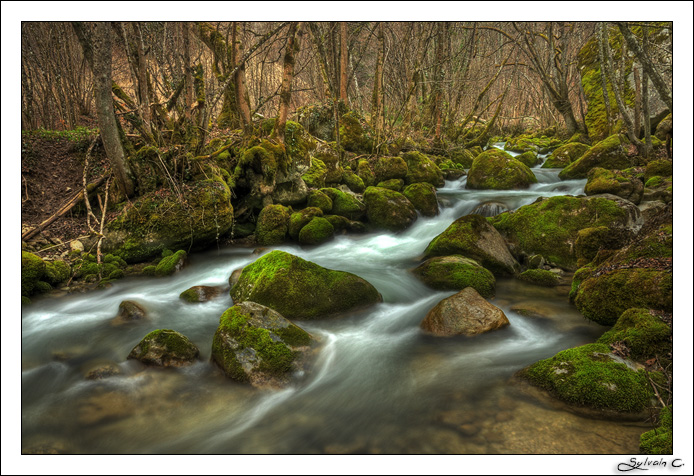 Filés, HDR, effet Orton... DSC_0155And8more