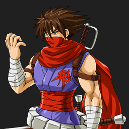 Ficha de Hiryu Strider-nx3