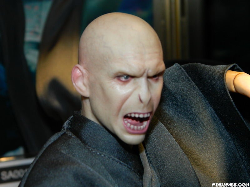 [Star Ace] Harry Potter - Lord Voldemort 1/6 DSCN94832