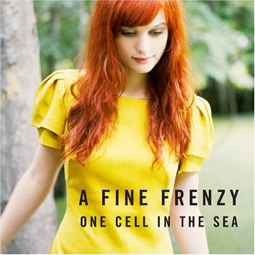 a fine frenzy A_fine_frenzy-one_cell_in_the_sea_groot