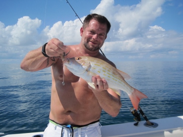 SW FL-Bonita Beach: Offshore Fishing Great for Grouper, Snapper, Shark & More PeterHalunen175Lane%20(365x274)