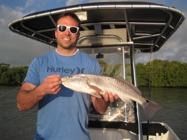 SW FL-Bonita Beach: Summertime Shark Action, Grouper, Snapper NateBinder24Red%20(365x274)