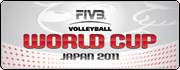 WORLD CUP Japan 2011 Brick_WCUP