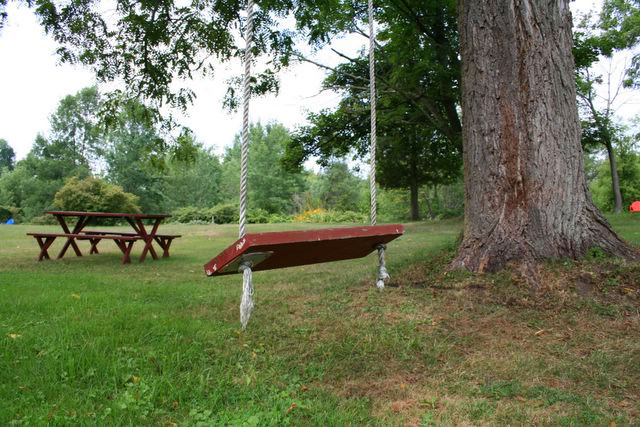 Поляната с въжената люлка Tree_swing