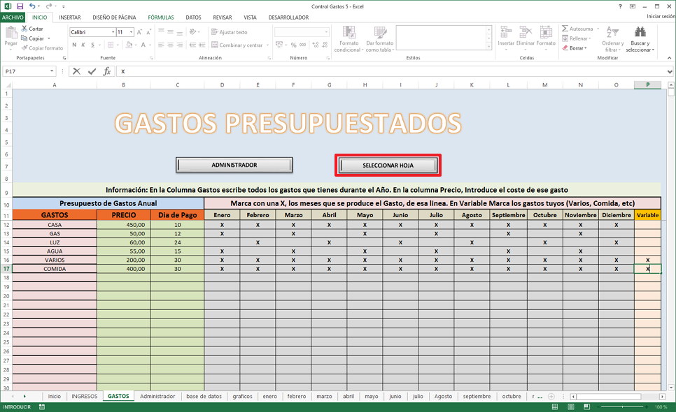 Control Gastos Casa - Excel para llevar los gastos de casa IMG008