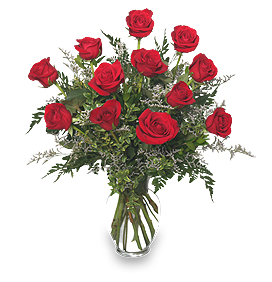 Les pros des axos, c'est a vous que je m'adresse Valentines-Ferns-roses