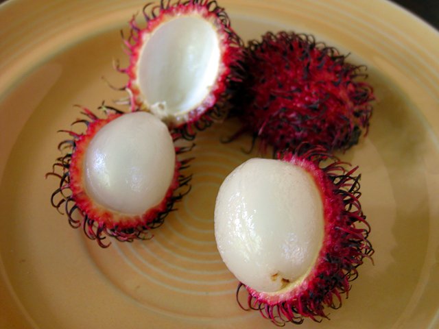 معلومات عن بعض الفواكه الغريبة والنادره Rambutan4