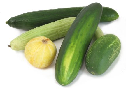 طبخات من  عروبتنا  Cucumbers-group