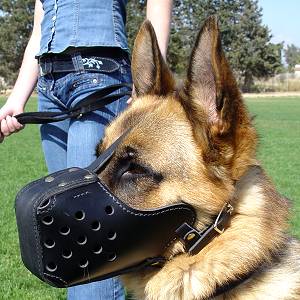 Beat the picure - Page 2 Leather-dog-muzzle-padded-agitation-attack-police-schutzhund-k9-service