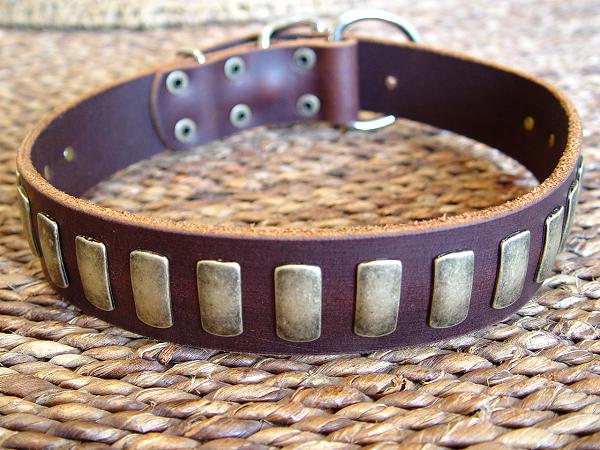 Jaulas, Correas, Collares etc Leather-dog-collar-wide-large-breed-2