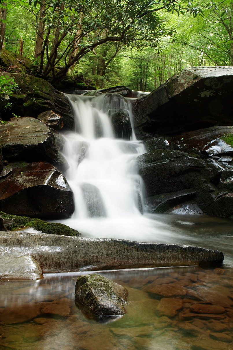 Welcome to The cimarron Herd... ( Seeking members...) Beautiful-Seneca-Waterfall