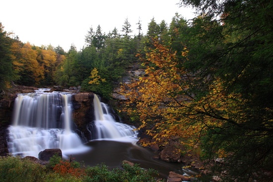 Autumn Waterfalls Nature Photography Blackwater-falls-waterfalls-fall-foliage-trees