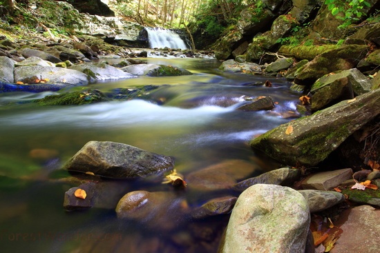 Autumn Waterfalls Nature Photography Deep-forest-waterfall-stream-rock-leaves