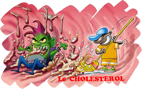 Maladies cardiaques  Cholesterol