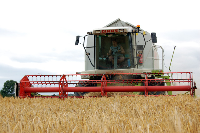 Vente Lexion 440 coupe 6M année 2001 OH%207