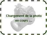 Conseil amenagement et look cuisne ouverte et salon Loading_photo