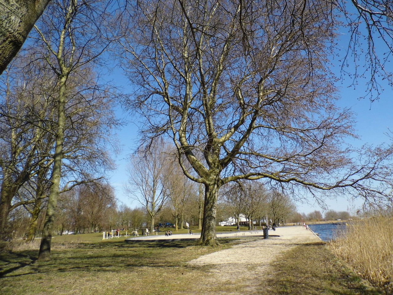 03-04-2013 Haarlem - Foto's Molenplas, Schalkwijk (0085)1