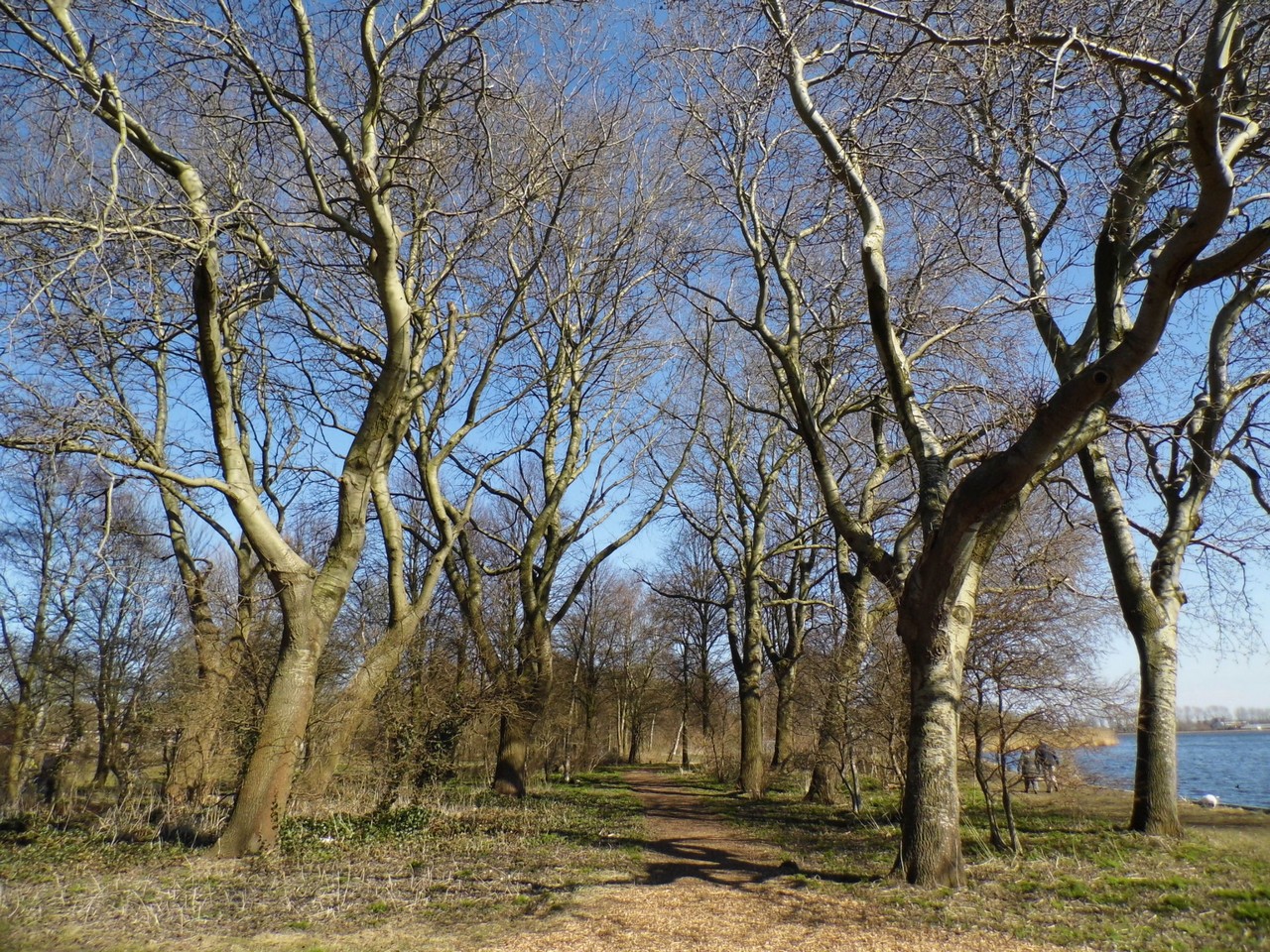 03-04-2013 Haarlem - Foto's Molenplas, Schalkwijk (0085)2