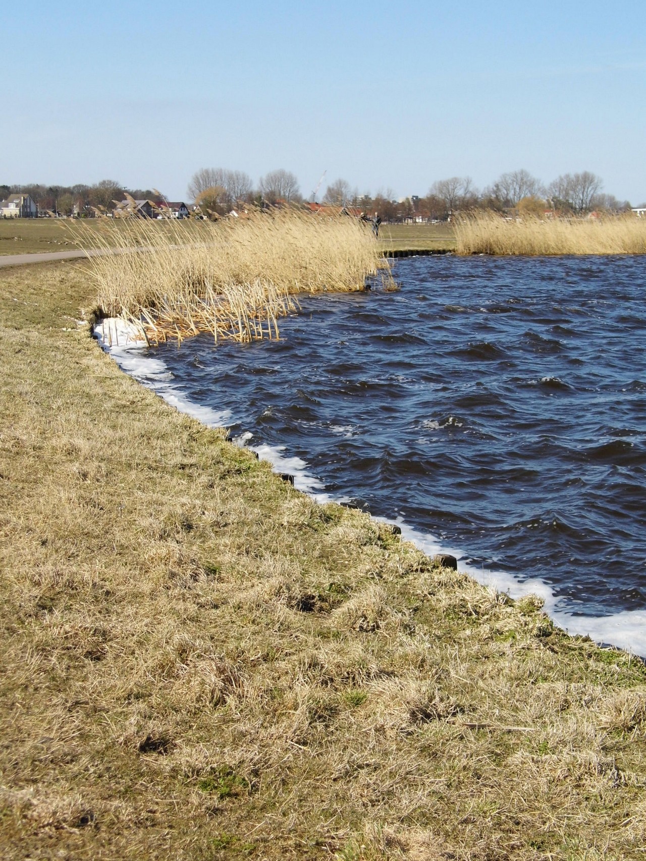 03-04-2013 Haarlem - Foto's Molenplas, Schalkwijk (0085)5