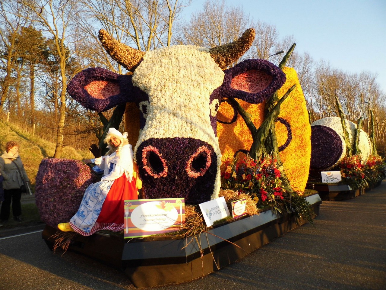 20-04-2013 Bloemencorso Bollenstreek (0095)N02