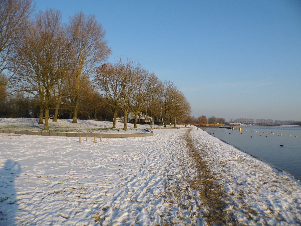 13-01-2013 Haarlem - Foto's Vogels en Molenplaspark 019(18)